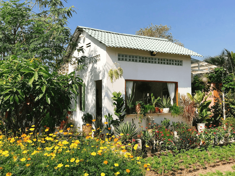 Nhà sống xanh Nhà sống xanh