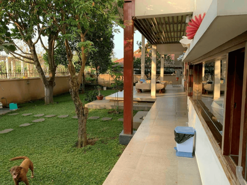 Mẫu nh&agrave; vườn 1 tầng t&acirc;n cổ điển