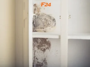 chống thấm chân tường nhà