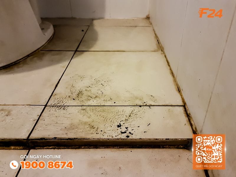 S&agrave;n gạch ố m&agrave;u l&agrave; dấu hiệu nh&agrave; vệ sinh bị thấm dột