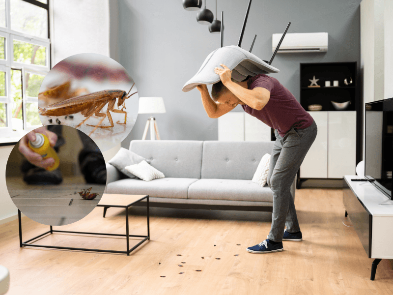 c&aacute;ch ti&ecirc;u diệt gi&aacute;n