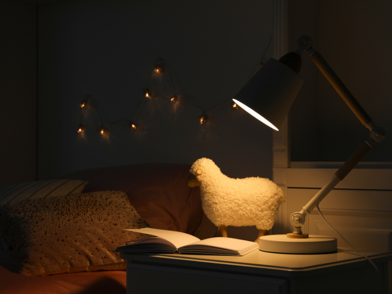 den phong ngu dang cay dung