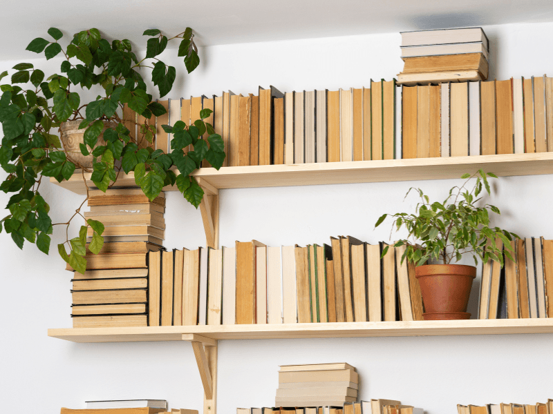 Kệ s&aacute;ch treo tường