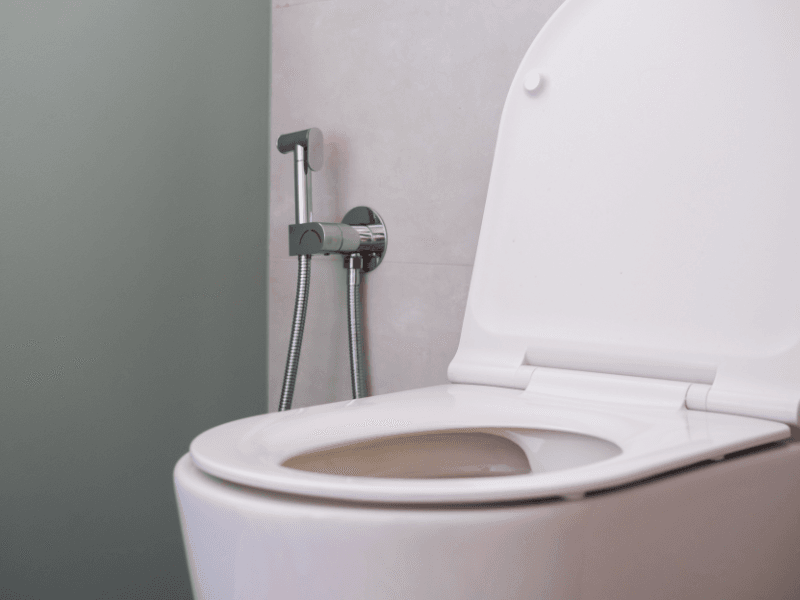Tư vấn chọn mua vòi nước phù hợp với nội thất gia đình 5 Vòi xịt nhà vệ sinh