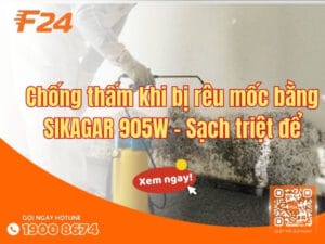 Chống thấm khi bị rêu mốc bằng SIKAGAR 905W - Sạch triệt để