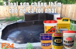 sơn chống thấm cho bể cá