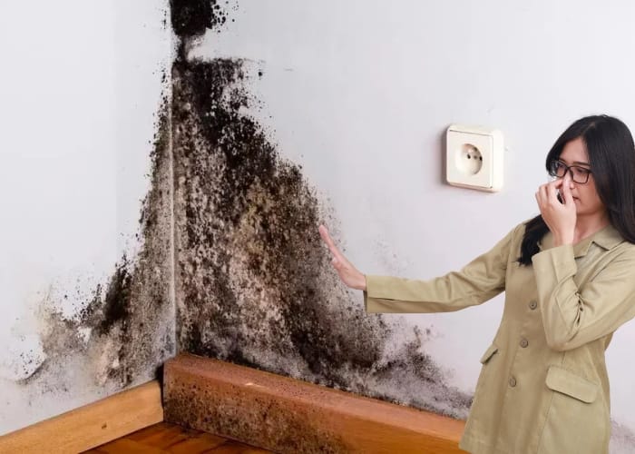 C&oacute; m&ugrave;i h&ocirc;i ẩm mốc