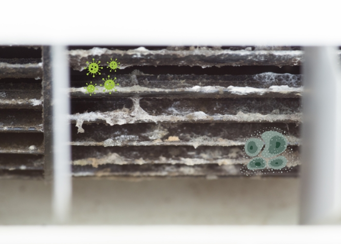 Ảnh hưởng của độ ẩm cao đến máy lạnh : Phát sinh nấm mốc, vi khuẩn bên trong máy Phát sinh nấm mốc, vi khuẩn bên trong máy lạnh