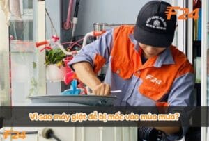 Vì sao máy giặt bị mốc vào mùa mưa? Cách khắc phục?