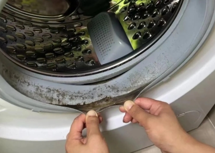 m&aacute;y giặt dễ bị mốc
