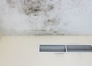 cải thiện thông gió và xử lý ẩm mốc