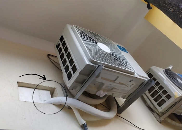 ph&ograve;ng tr&aacute;nh rắn chui v&agrave;o m&aacute;y lạnh