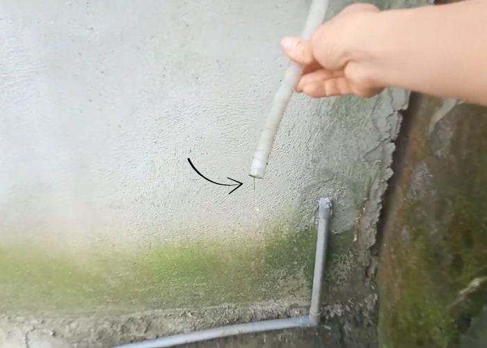 con đường rắn chui v&agrave;o m&aacute;y lạnh