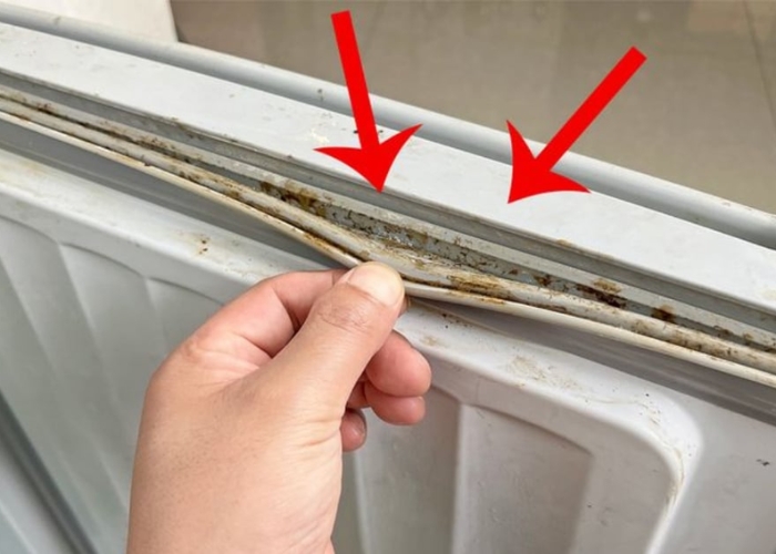 vệ sinh gioăng tủ lạnh bị mốc