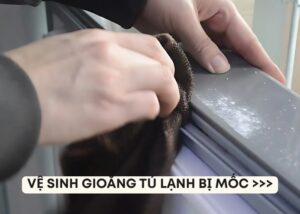 vệ sinh gioăng tủ lạnh bị mốc