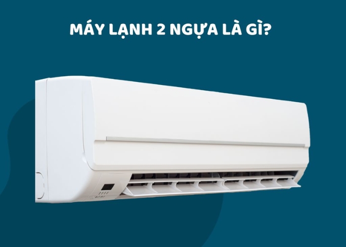 Vệ sinh máy lạnh 2 ngựa
