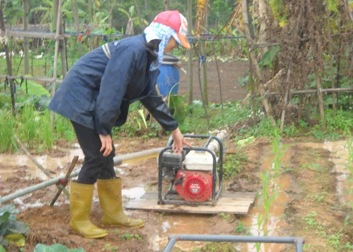 máy bơm nước trong tưới tiêu