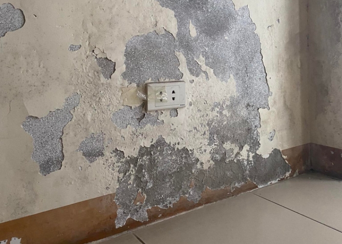 Bong tróc tường là dấu hiệu cần cải tạo ngay Những hư hỏng thường gặp ở nhà cửa
