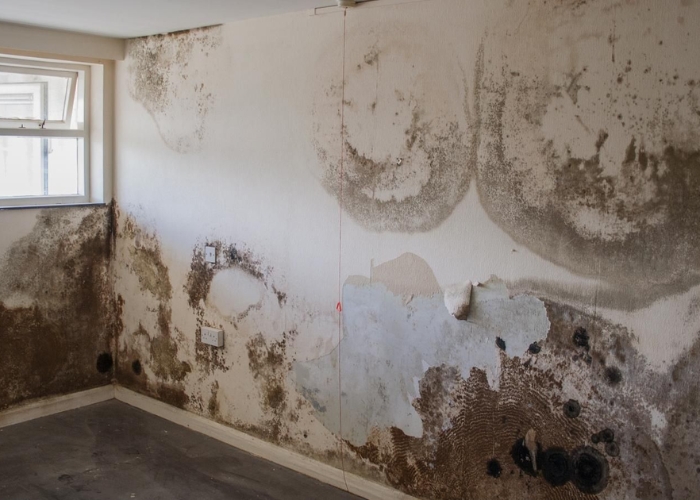 dấu hiệu đường ống nước &acirc;m tường bị vỡ