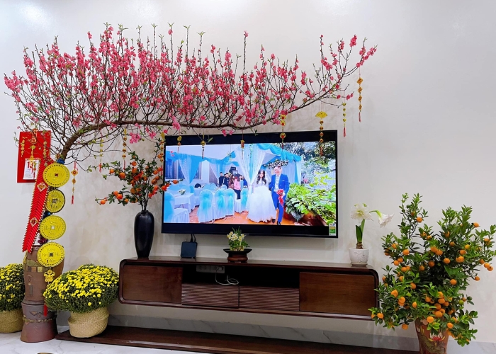 Trang tr&iacute; th&ecirc;m c&acirc;y xanh v&agrave; hoa tươi để tăng sinh kh&iacute; cho kh&ocirc;ng gian