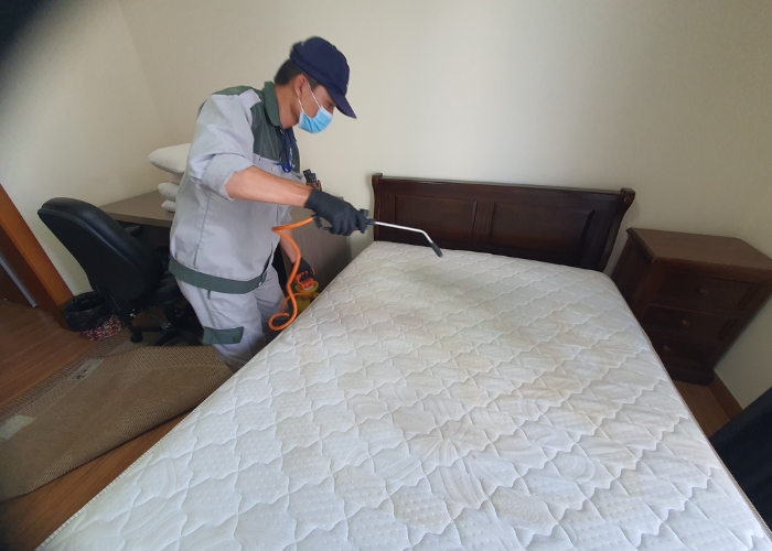 Phun dung dịch l&agrave;m sạch chuy&ecirc;n dụng l&ecirc;n bề mặt nệm