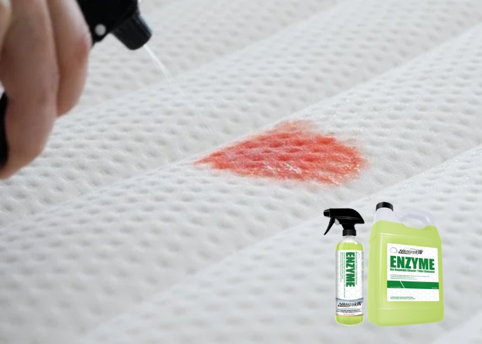 Làm sạch vết máu trên nệm bằng chất tẩy rửa enzyme Tẩy vết máu bằng chất tẩy rửa enzyme