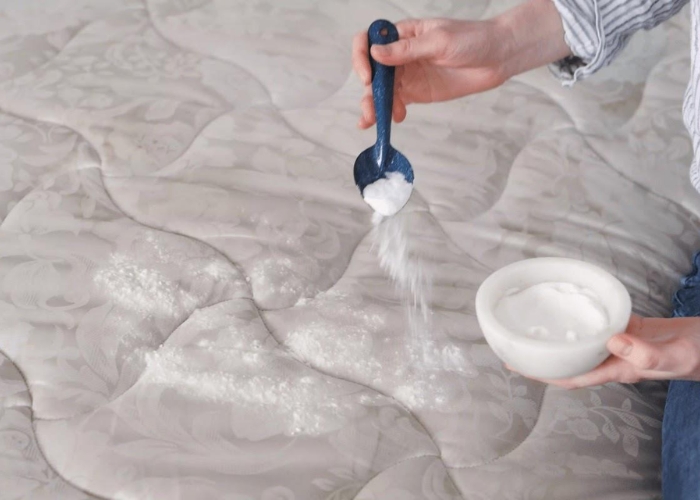  khử m&ugrave;i h&ocirc;i cho nệm l&ograve; xo