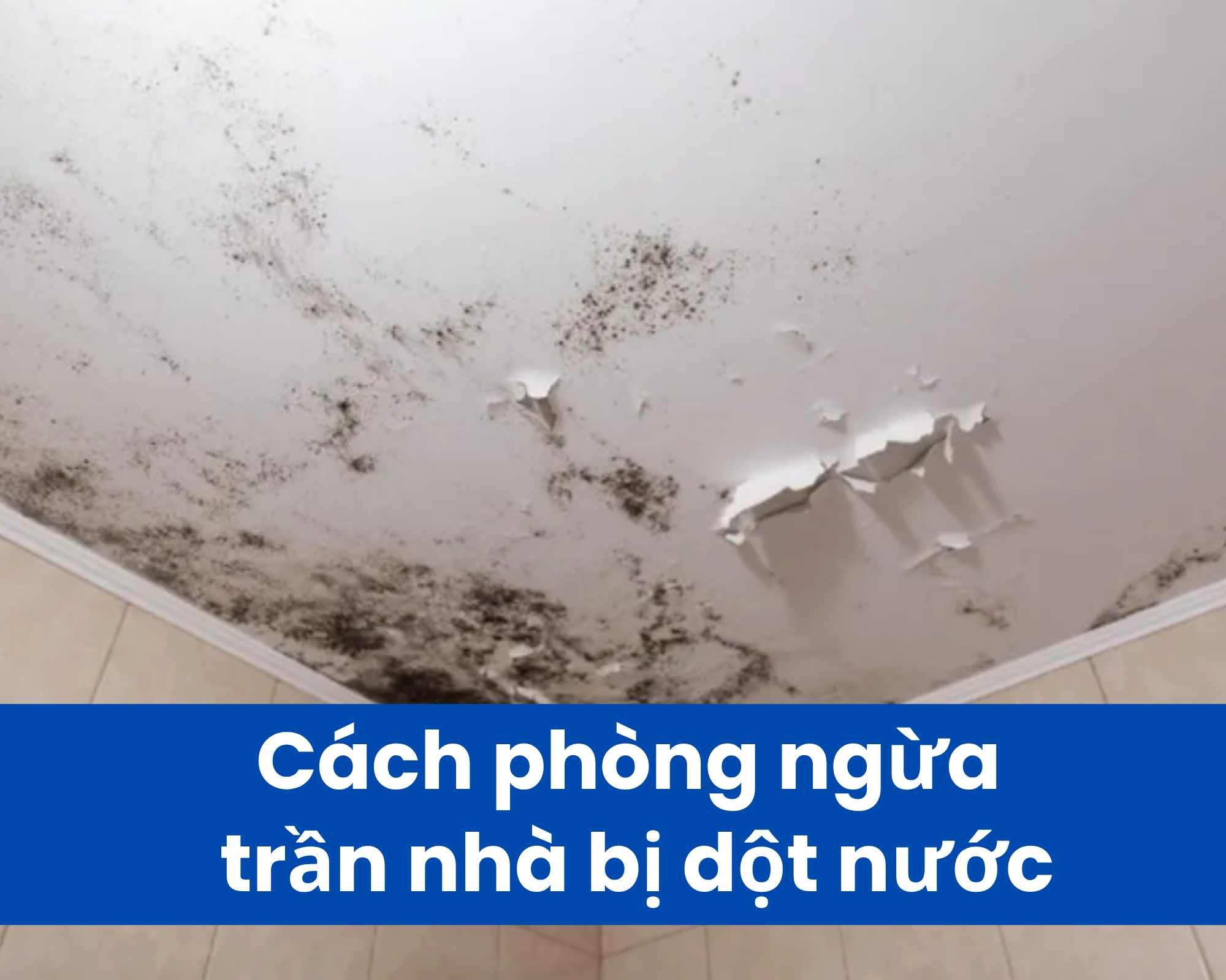 C&aacute;ch ph&ograve;ng ngừa trần nh&agrave; bị dột nước