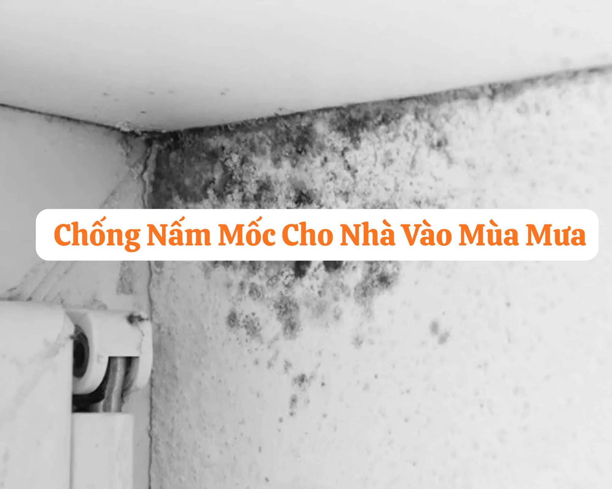 8 Kinh Nghiệm Chống Nấm Mốc Cho Nh&agrave; M&ugrave;a Mưa Hiệu Quả-compressed