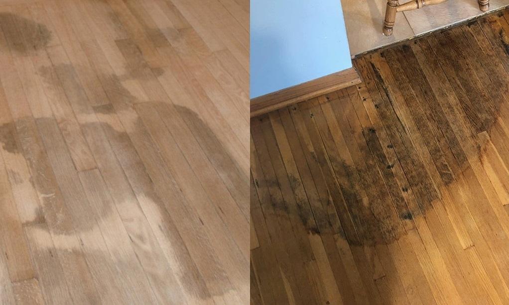 Rủi ro khi s&agrave;n gỗ bị ngấm nước l&acirc;u ng&agrave;y kh&ocirc;ng xử l&yacute;